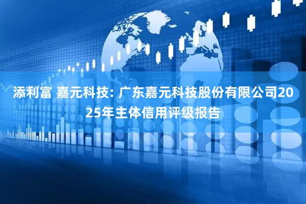 添利富 嘉元科技: 广东嘉元科技股份有限公司2025年主体信用评级报告