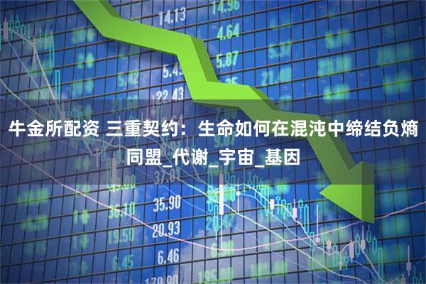 牛金所配资 三重契约：生命如何在混沌中缔结负熵同盟_代谢_宇宙_基因