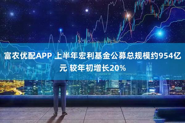 富农优配APP 上半年宏利基金公募总规模约954亿元 较年初增长20%