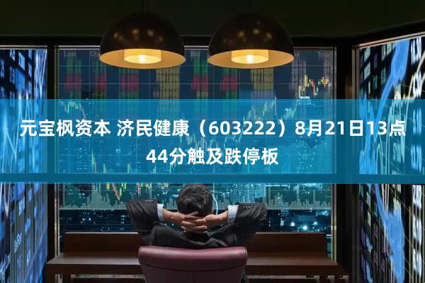 元宝枫资本 济民健康（603222）8月21日13点44分触及跌停板