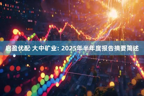 启盈优配 大中矿业: 2025年半年度报告摘要简述