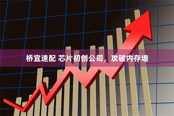 桥宜速配 芯片初创公司，攻破内存墙
