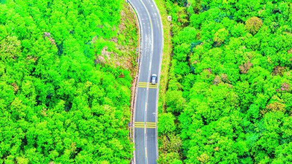 东方优配 一路盛景引来客
