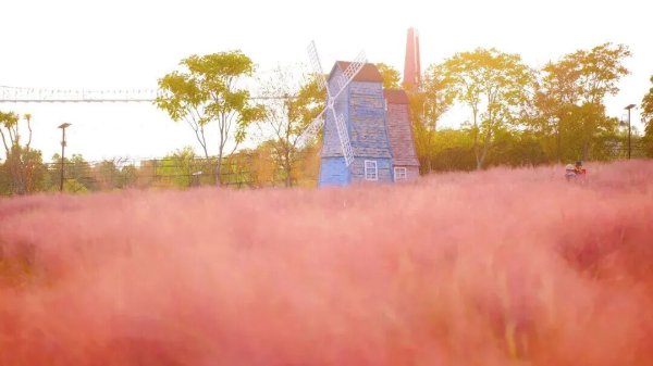 上证速配 马上过节，武汉多景区免票