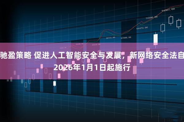 驰盈策略 促进人工智能安全与发展，新网络安全法自2026年1月1日起施行